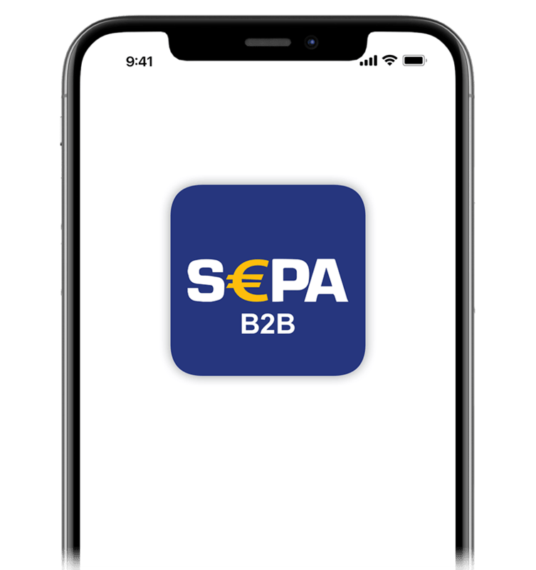 Sepa Direct Debit B2B